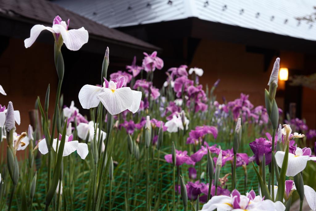 Satonoyu Waraku 13 Years Or Older Hotel Minamioguni Exterior photo